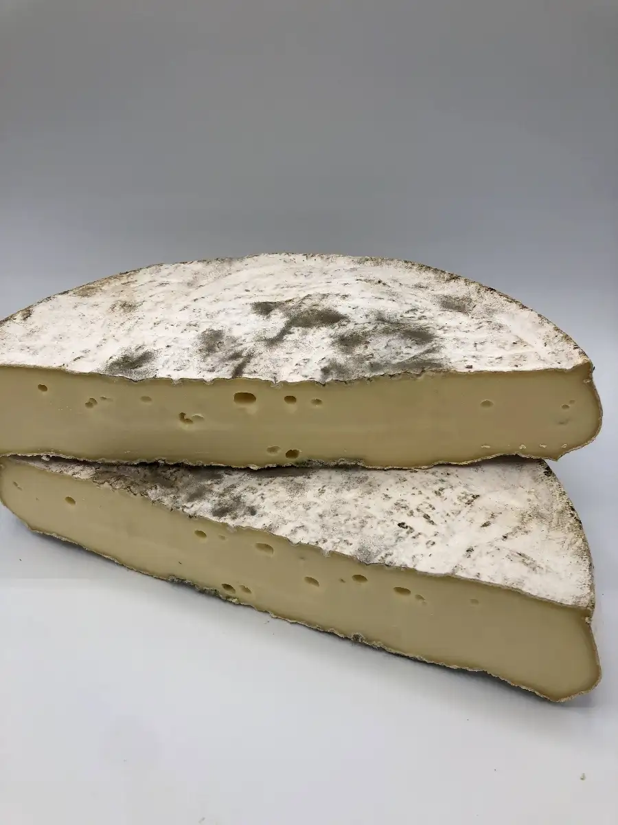 Saint Nectaire Fermier