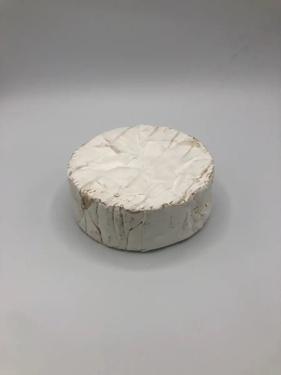 Camembert Fermier